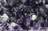 Purple Amethyst Cluster - Uruguay #66810-2
